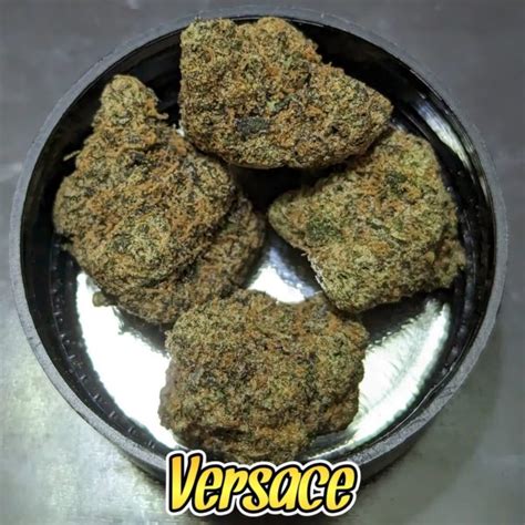 lemon versace strain.